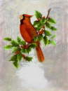 Cardinal On Holly - BD-COHxx-O 