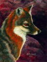 Foxy Lady - AN-FL