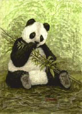 Panda - AN-PAN