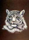 Snow Leopard Head - AN-SLH